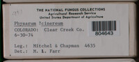 Image Associated With the Occurence